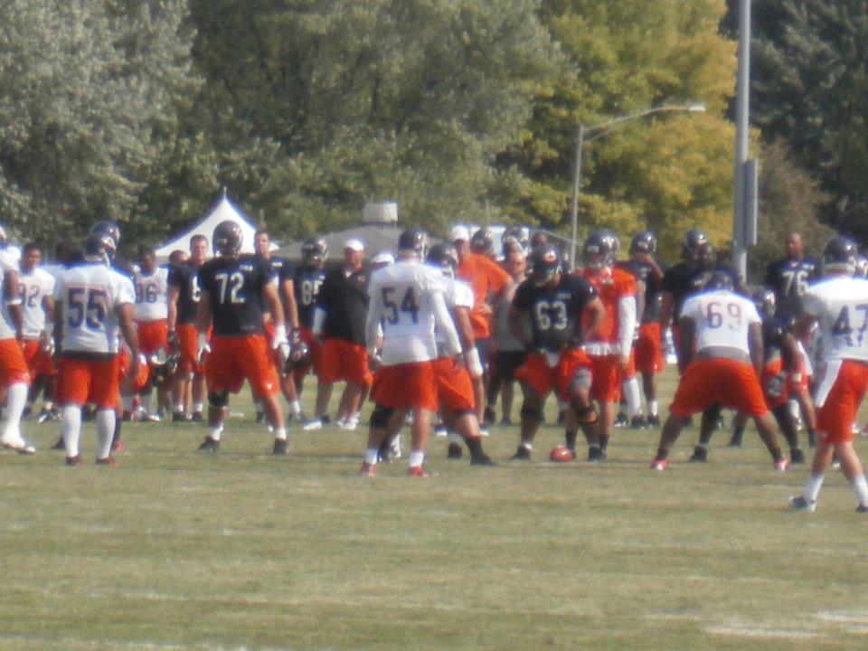 Bears11.jpeg