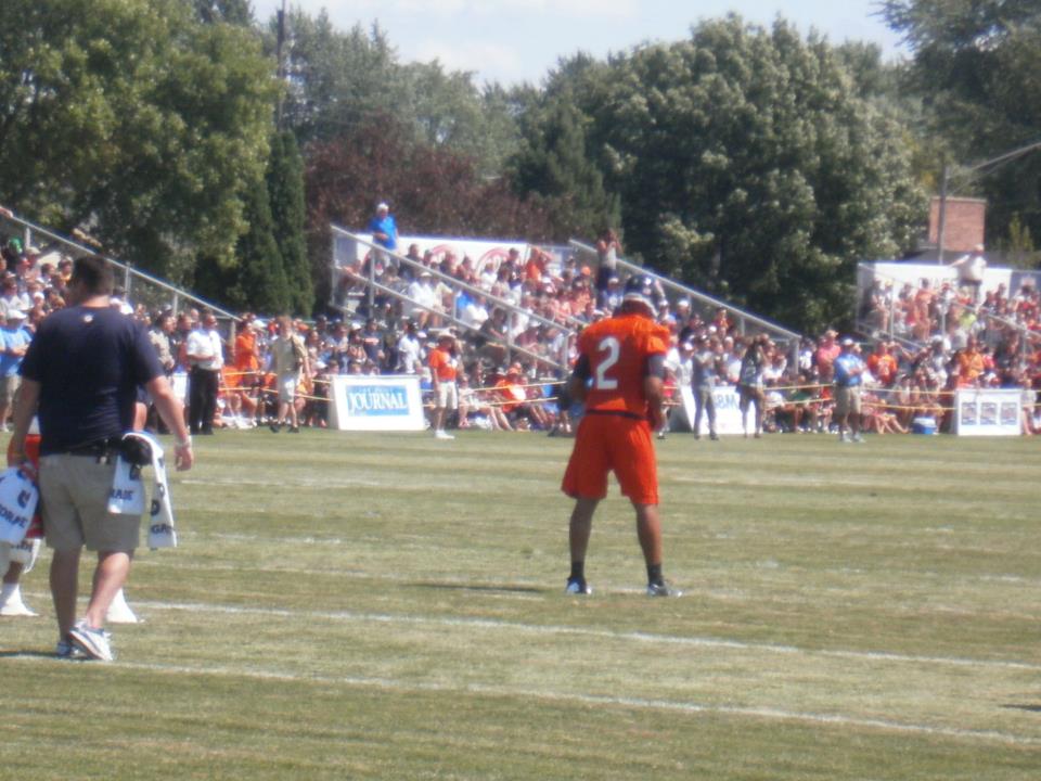 Bears3.jpeg