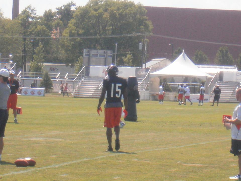 Bears6.jpeg