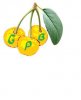 cherry1.jpg