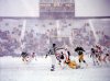 1985-snow-bowl.jpg