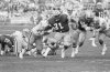 80 Gerry Ellis v. SF.jpg