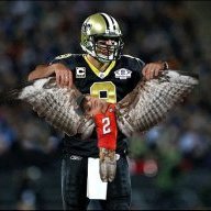 Saints Fan 13