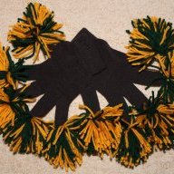 gopackgogreenbay