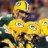 PackerBacker92