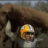 LApackerfan