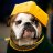 Packers908