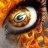 packerskeylargo
